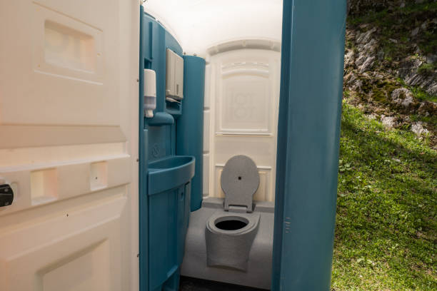 Best Sanitation services for porta potties  in Novi, MI